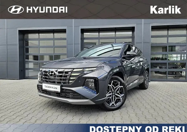 syców Hyundai Tucson cena 199325 przebieg: 5, rok produkcji 2024 z Syców